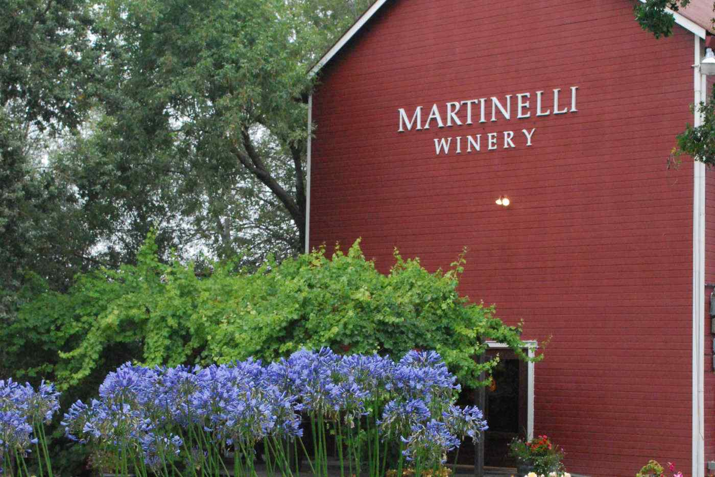 Front of Martinelli winery tasting room with flowers