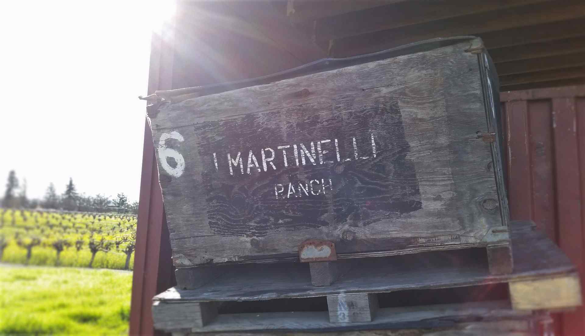 Old Martinelli Ranch bin used to haul grapes to one of the 28 different wineries who buy our grapes each year.