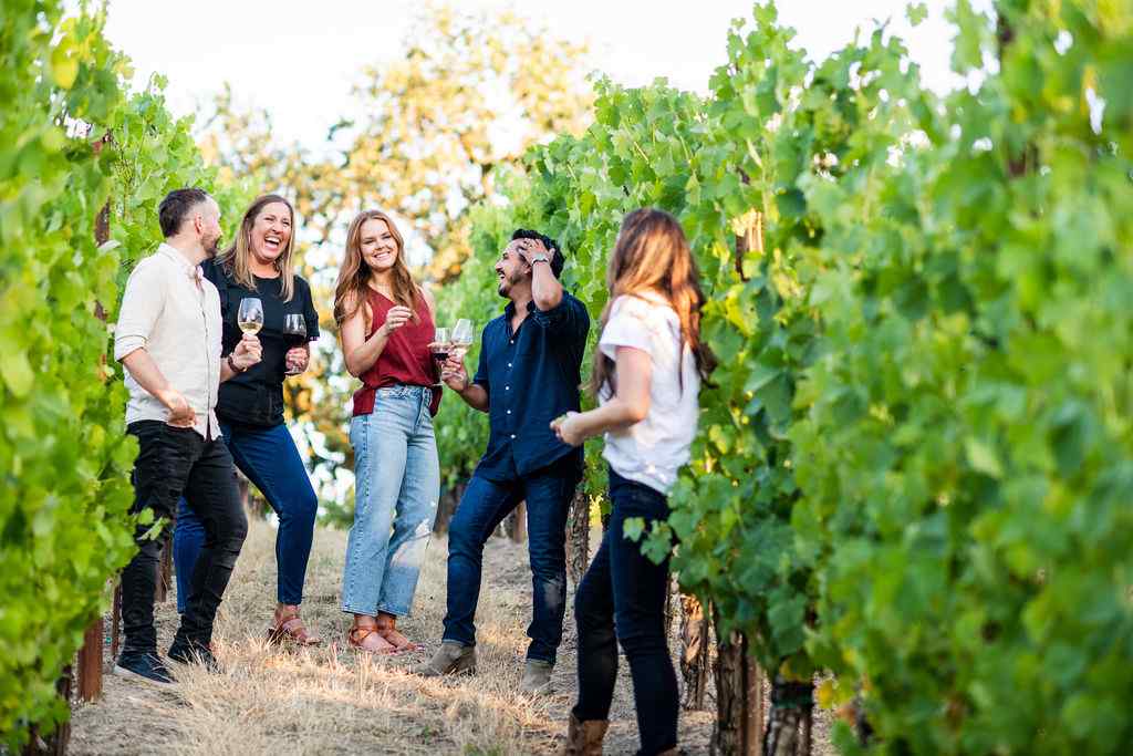 Five people holding wine glasses standing between Martinelli grapevines